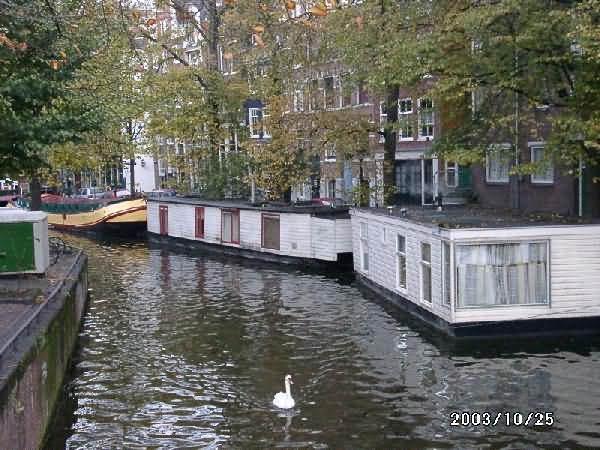 amsterdam 11 20121202 1593053724